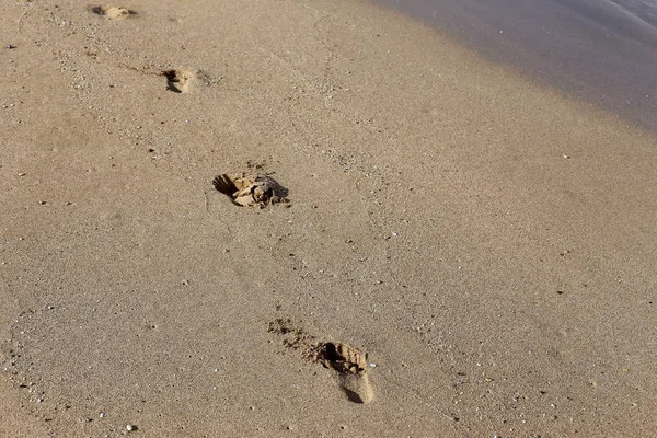 Fußabdrücke Sand Den Ufern Des Mittelmeeres Nordisrael — Stockfoto