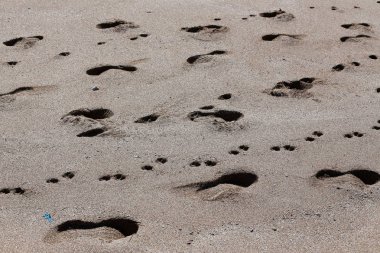 Kumdaki Kuzey İsrail'Akdeniz kıyısında 