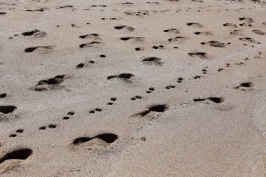 Kumdaki Kuzey İsrail'Akdeniz kıyısında 