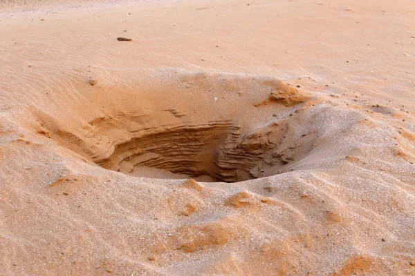 イスラエル北部の地中海の海岸の砂の上の足跡 — ストック写真