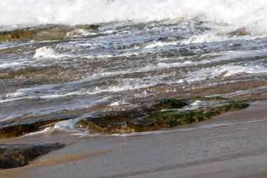 Kuzey İsrail kıyılarında sığ sularda Akdeniz'de deniz suyu rengi 