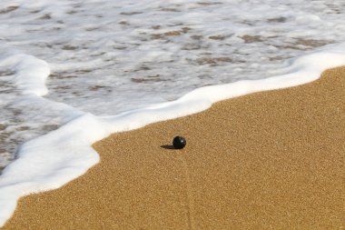 Kuzey İsrail kıyılarında sığ sularda Akdeniz'de deniz suyu rengi 