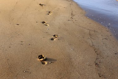 Kumdaki Kuzey İsrail'Akdeniz kıyısında 