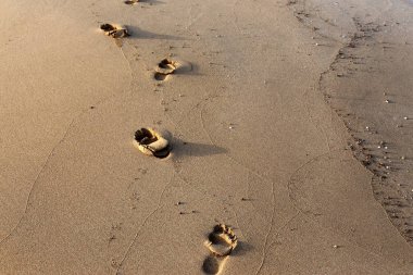 Kumdaki Kuzey İsrail'Akdeniz kıyısında 