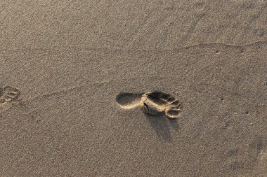 Kumdaki Kuzey İsrail'Akdeniz kıyısında 