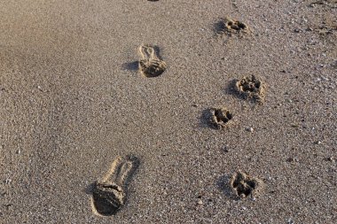 Kumdaki Kuzey İsrail'Akdeniz kıyısında 