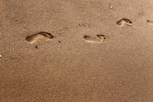 Voetafdrukken Het Zand Aan Oever Van Middellandse Zee Noord Israël — Stockfoto