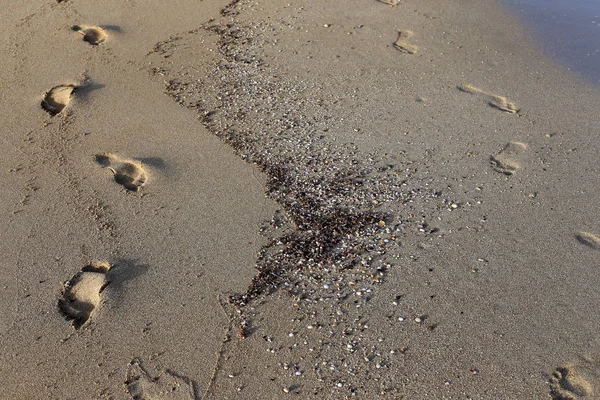 Fußabdrücke Sand Den Ufern Des Mittelmeeres Nordisrael — Stockfoto