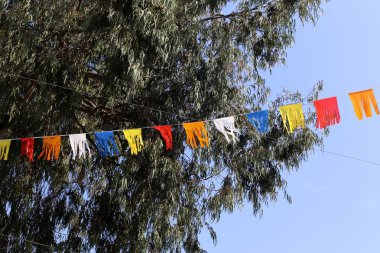 mavi ve beyaz david yıldızı ile İsrail bayrağı rüzgarda gelişir 