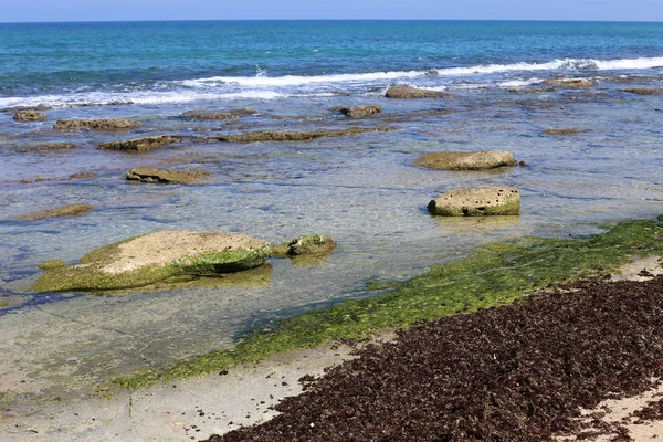 Costa Del Mar Mediterraneo Nel Nord Dello Stato Israele — Foto Stock