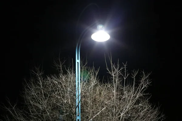 Egy Lámpást Világítás Telepítve Egy Városi Parkban Észak Izrael Állam — Stock Fotó