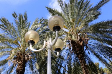 İsrail devletinin kuzeyinde bir şehir parkına kurulan aydınlatma için bir fener 