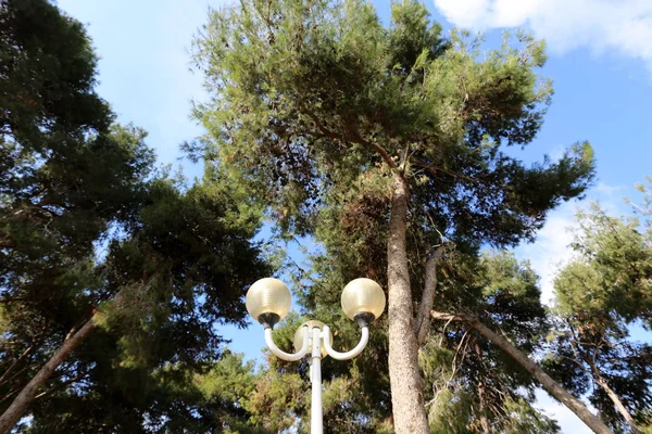 Uma Lanterna Para Iluminação Instalada Parque Cidade Norte Estado Israel — Fotografia de Stock