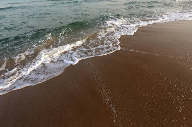 İsrail'in kuzeyinde Akdeniz'in kumlu kıyıları 