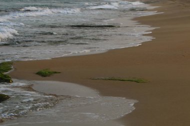 İsrail'in kuzeyinde Akdeniz'in kumlu kıyıları 
