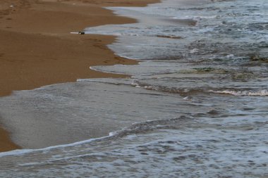 İsrail'in kuzeyinde Akdeniz'in kumlu kıyıları 