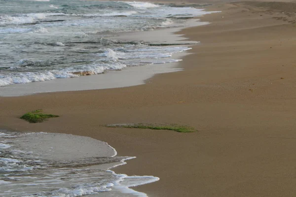 Αμμώδεις Ακτές Της Μεσογείου Στο Βόρειο Τμήμα Του Ισραήλ — Φωτογραφία Αρχείου