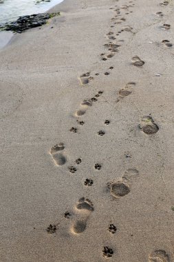 Israil Eyaleti kuzeyinde Akdeniz kıyılarında kum ayak izleri 