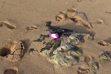 Israil Eyaleti kuzeyinde Akdeniz kıyılarında kum ayak izleri 