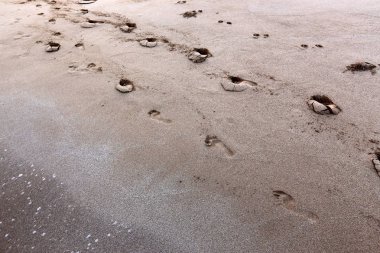 Israil Eyaleti kuzeyinde Akdeniz kıyılarında kum ayak izleri 