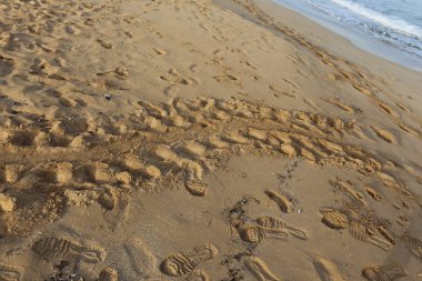 Israil Eyaleti kuzeyinde Akdeniz kıyılarında kum ayak izleri 