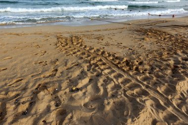 Israil Eyaleti kuzeyinde Akdeniz kıyılarında kum ayak izleri 