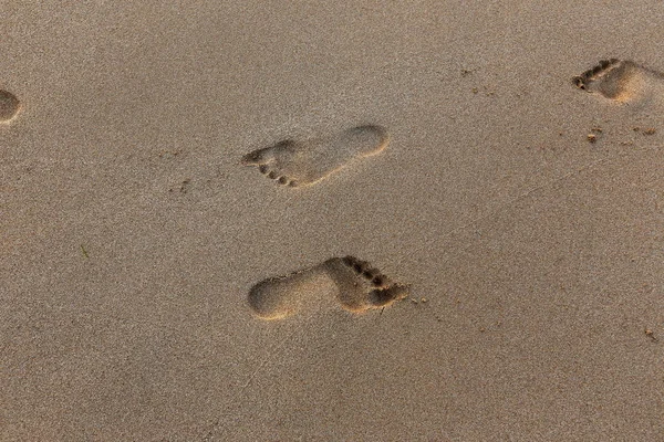 footprints in the sand on the shores of the Mediterranean in the north of the state of Israel