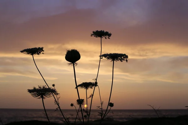 The sun sets over the horizon on the shores of the Mediterranean Sea in the north of the state of Israel