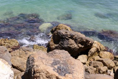 İsrail'in kuzeyinde Akdeniz kıyısında taş ve kabukları 