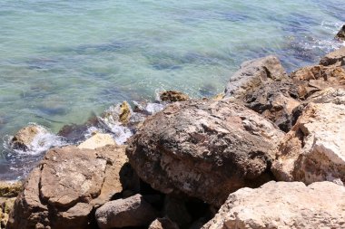 İsrail'in kuzeyinde Akdeniz kıyısında taş ve kabukları 