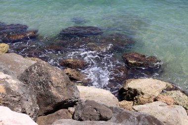 İsrail'in kuzeyinde Akdeniz kıyısında taş ve kabukları 