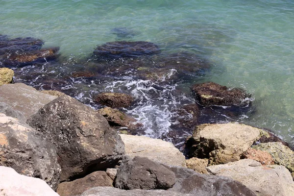 İsrail'in kuzeyinde Akdeniz kıyısında taş ve kabukları 