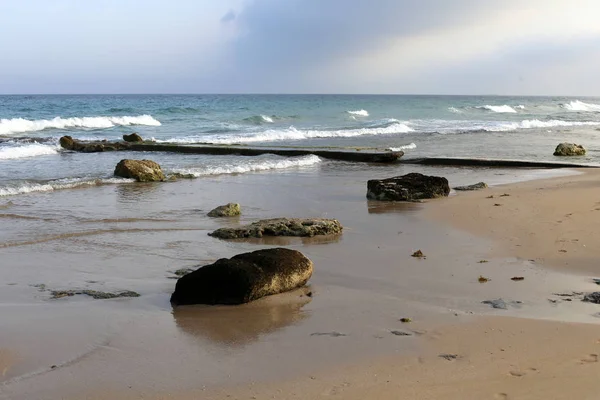 Piedras Conchas Costa Mediterránea Norte Israel — Foto de Stock
