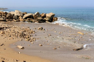 İsrail'in kuzeyinde Akdeniz kıyısında taş ve kabukları 