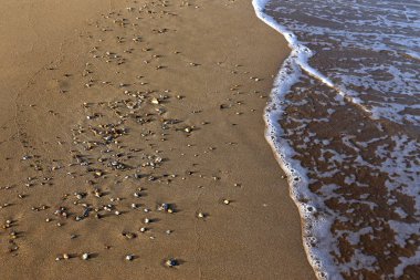 İsrail'in kuzeyinde Akdeniz kıyısında taş ve kabukları 