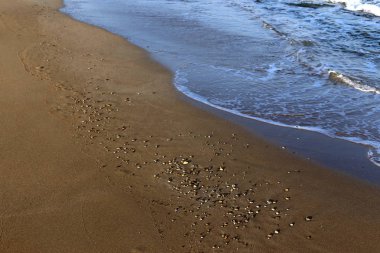 İsrail'in kuzeyinde Akdeniz kıyısında taş ve kabukları 