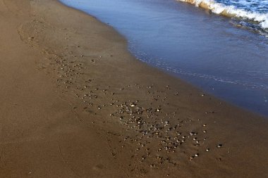 İsrail'in kuzeyinde Akdeniz kıyısında taş ve kabukları 