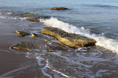 İsrail'in kuzeyinde Akdeniz kıyısında taş ve kabukları 