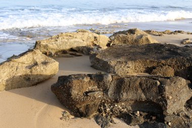 İsrail'in kuzeyinde Akdeniz kıyısında taş ve kabukları 