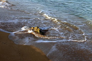 İsrail'in kuzeyinde Akdeniz kıyısında taş ve kabukları 