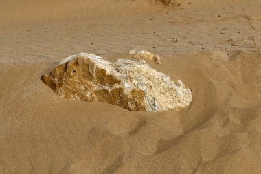 İsrail'in kuzeyinde Akdeniz kıyısında taş ve kabukları 