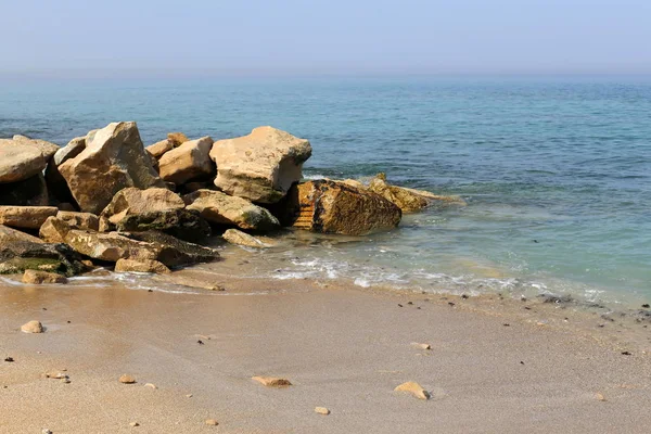 Stenen Schelpen Aan Middellandse Zeekust Het Noorden Van Israël — Stockfoto