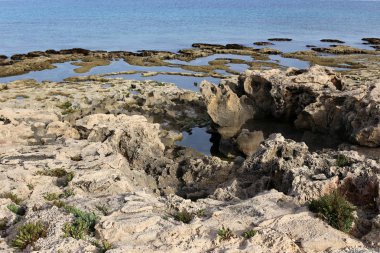 İsrail devletinin kuzeyinde Akdeniz kıyılarında taş ve kaya ların doku 