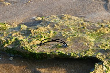İsrail devletinin kuzeyinde Akdeniz kıyılarında taş ve kaya ların doku 