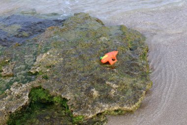 İsrail devletinin kuzeyinde Akdeniz kıyılarında taş ve kaya ların doku 