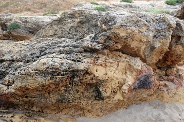 İsrail devletinin kuzeyinde Akdeniz kıyılarında taş ve kaya ların doku 
