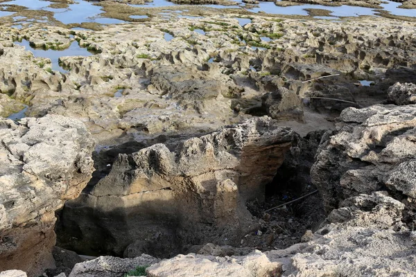 イスラエル国家の北の地中海の海岸に石や岩のテクスチャ — ストック写真