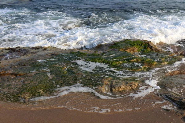 Srail Devletinin Kuzeyinde Akdeniz Kıyılarında Taş Kaya Ların Doku — Stok fotoğraf