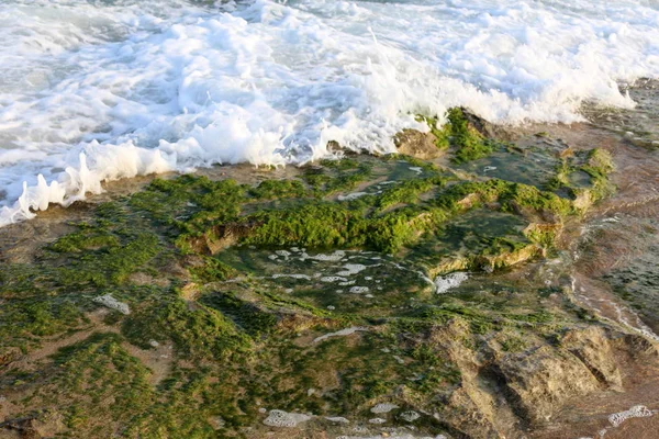 Texture Pietra Rocce Sulle Rive Del Mar Mediterraneo Nel Nord — Foto Stock