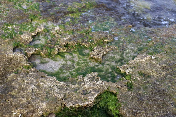 Textuur Van Steen Rotsen Aan Oevers Van Middellandse Zee Het — Stockfoto